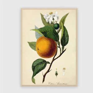 Küche Nr. 180 – Akustikbild mit Druck, 104 × 73 cm, heller Holzrahmen