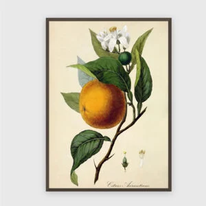 Küche Nr. 180 – Akustikbild mit Druck, 104 × 73 cm, dunkler Holzrahmen