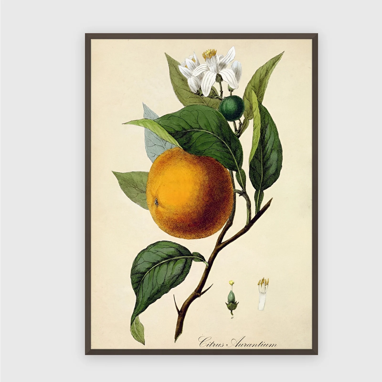 Küche Nr. 180 – Akustikbild mit Druck, 104 × 73 cm, dunkler Holzrahmen