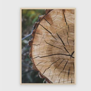 Natur Nr. 73 – Akustikbild mit Druck, 104 × 73 cm, heller Holzrahmen