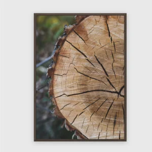 Natur Nr. 73 – Akustikbild mit Druck, 104 × 73 cm, dunkler Holzrahmen