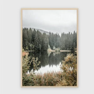 Natur Nr. 119 – Akustikbild mit Druck, 104 × 73 cm, heller Holzrahmen