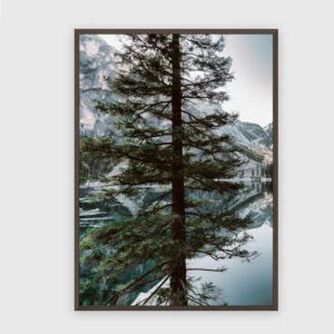 Natur Nr. 95 – Akustikbild mit Druck, 104 × 73 cm, dunkler Holzrahmen