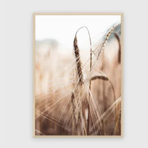 Natur Nr. 62
