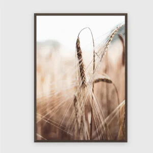 Natur Nr. 62 – Akustikbild mit Druck, 104 × 73 cm, dunkler Holzrahmen