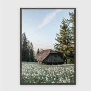Natur Nr. 167 – Akustikbild mit Druck, 104 × 73 cm, dunkler Holzrahmen