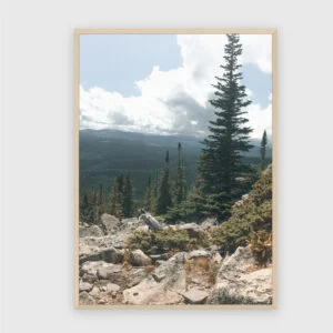 Natur Nr. 110 – Akustikbild mit Druck, 104 × 73 cm, heller Holzrahmen
