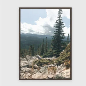 Natur Nr. 110 – Akustikbild mit Druck, 104 × 73 cm, dunkler Holzrahmen
