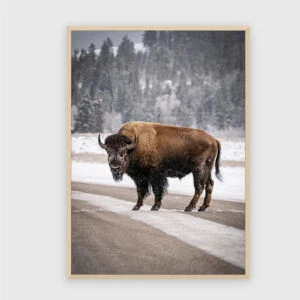 Natur Nr. 60 – Akustikbild mit Druck, 104 × 73 cm, heller Holzrahmen