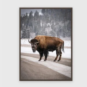 Natur Nr. 60 – Akustikbild mit Druck, 104 × 73 cm, dunkler Holzrahmen