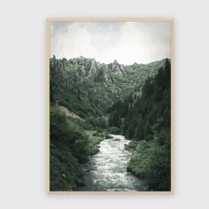 Natur Nr. 124 – Akustikbild mit Druck, 104 × 73 cm, heller Holzrahmen