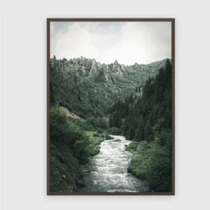Natur Nr. 124 – Akustikbild mit Druck, 104 × 73 cm, dunkler Holzrahmen