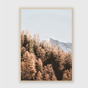 Natur Nr. 52