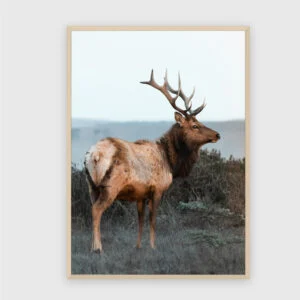 Natur Nr. 157