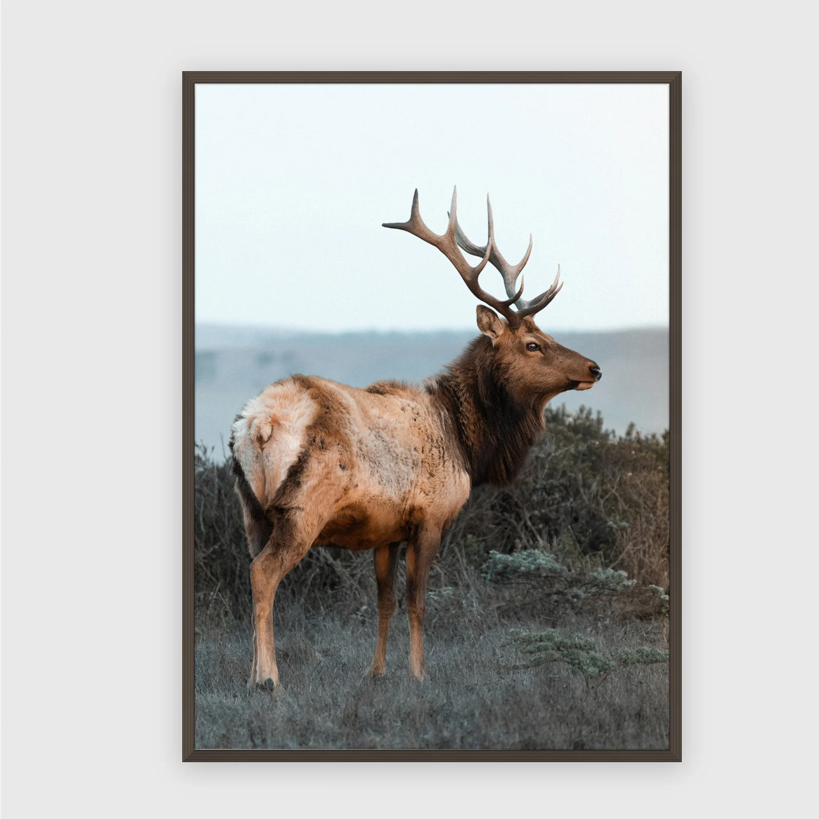 Natur Nr. 157 – Akustikbild mit Druck, 104 × 73 cm, dunkler Holzrahmen