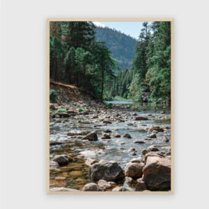Natur Nr. 106