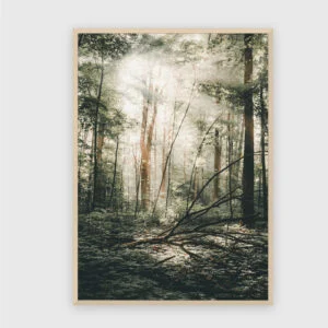 Natur Nr. 127