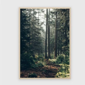 Natur Nr. 105