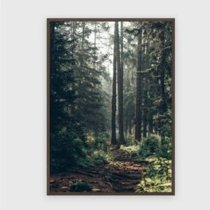 Natur Nr. 105 – Akustikbild mit Druck, 104 × 73 cm, dunkler Holzrahmen