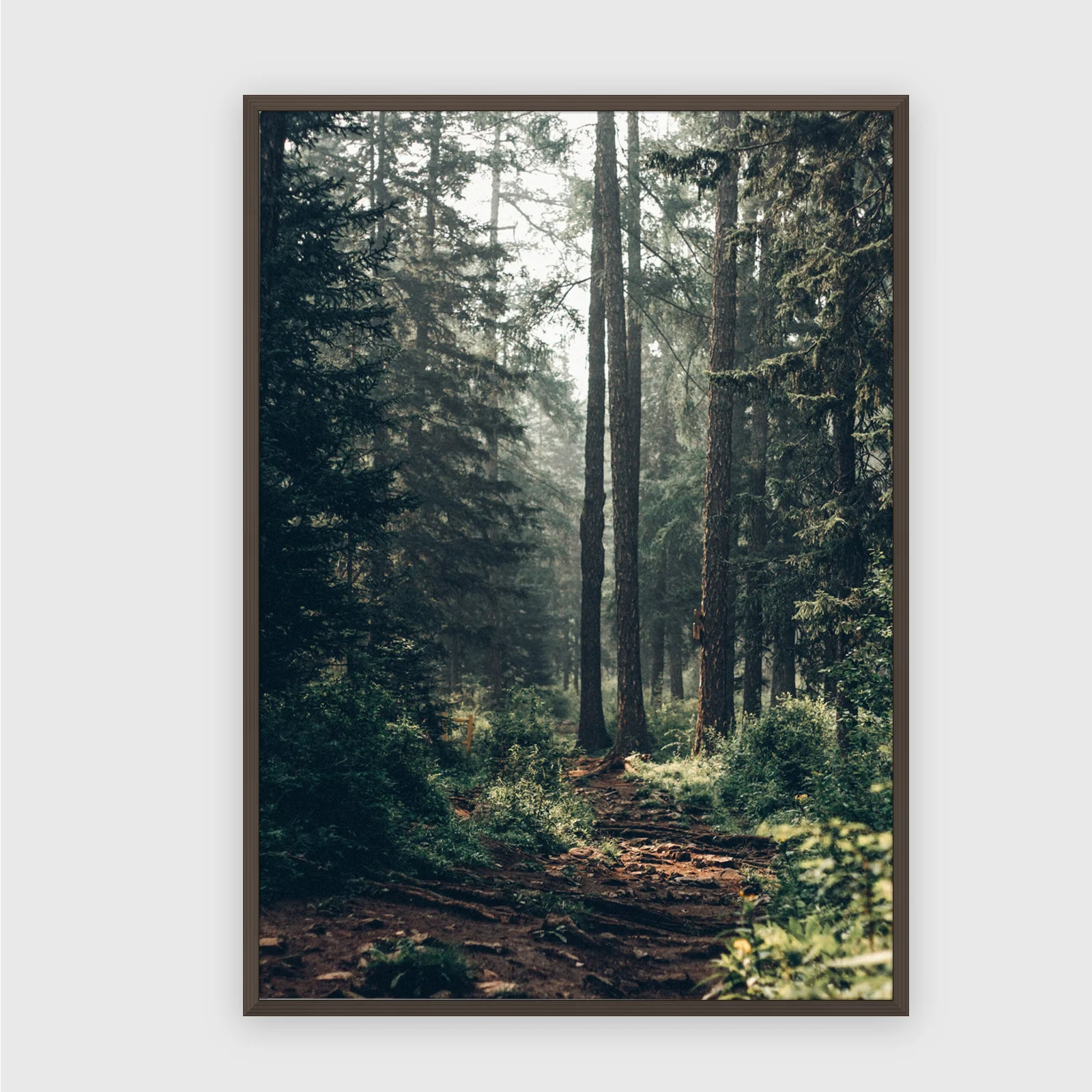 Natur Nr. 105 – Akustikbild mit Druck, 104 × 73 cm, dunkler Holzrahmen