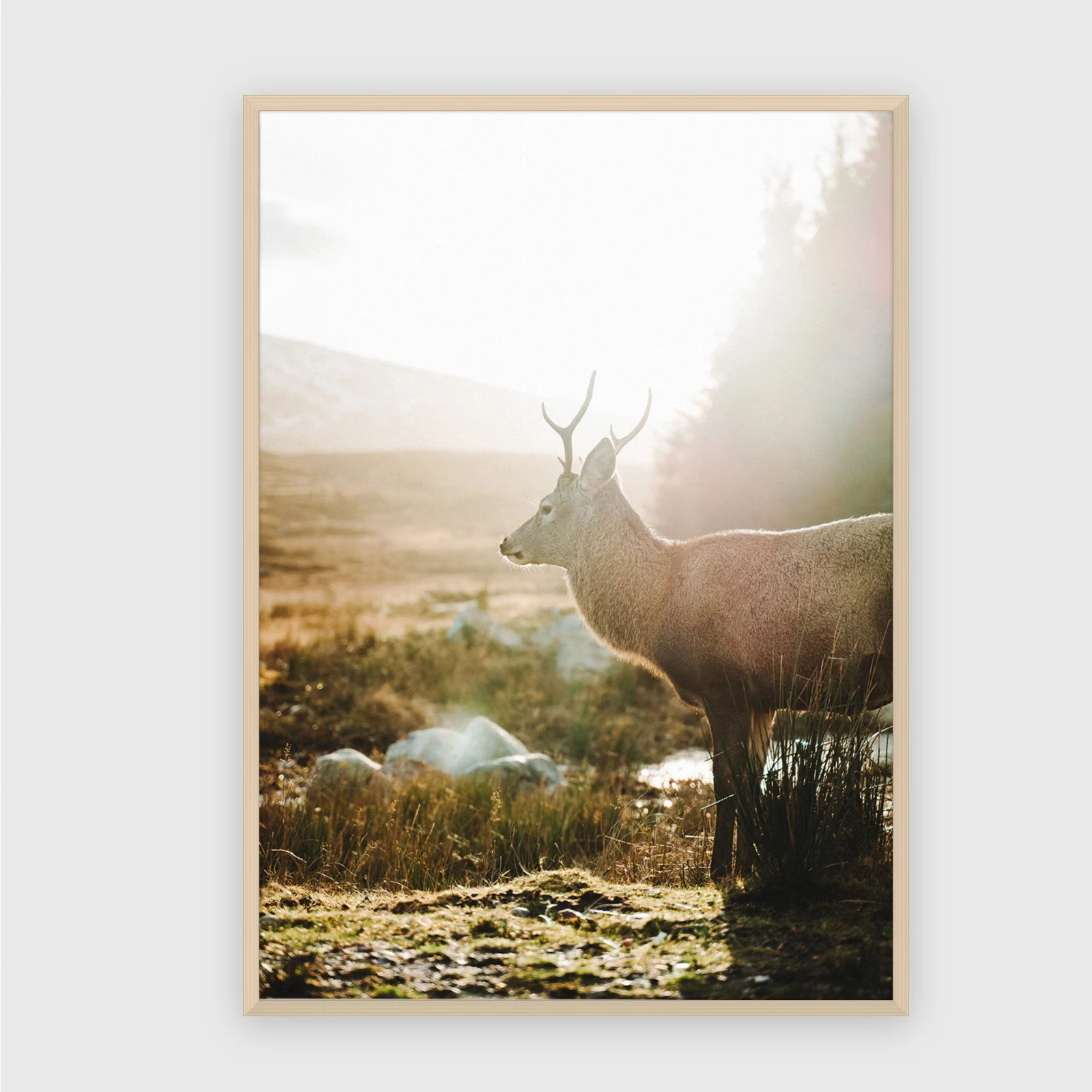 Natur Nr. 74 – Akustikbild mit Druck, 104 × 73 cm, heller Holzrahmen