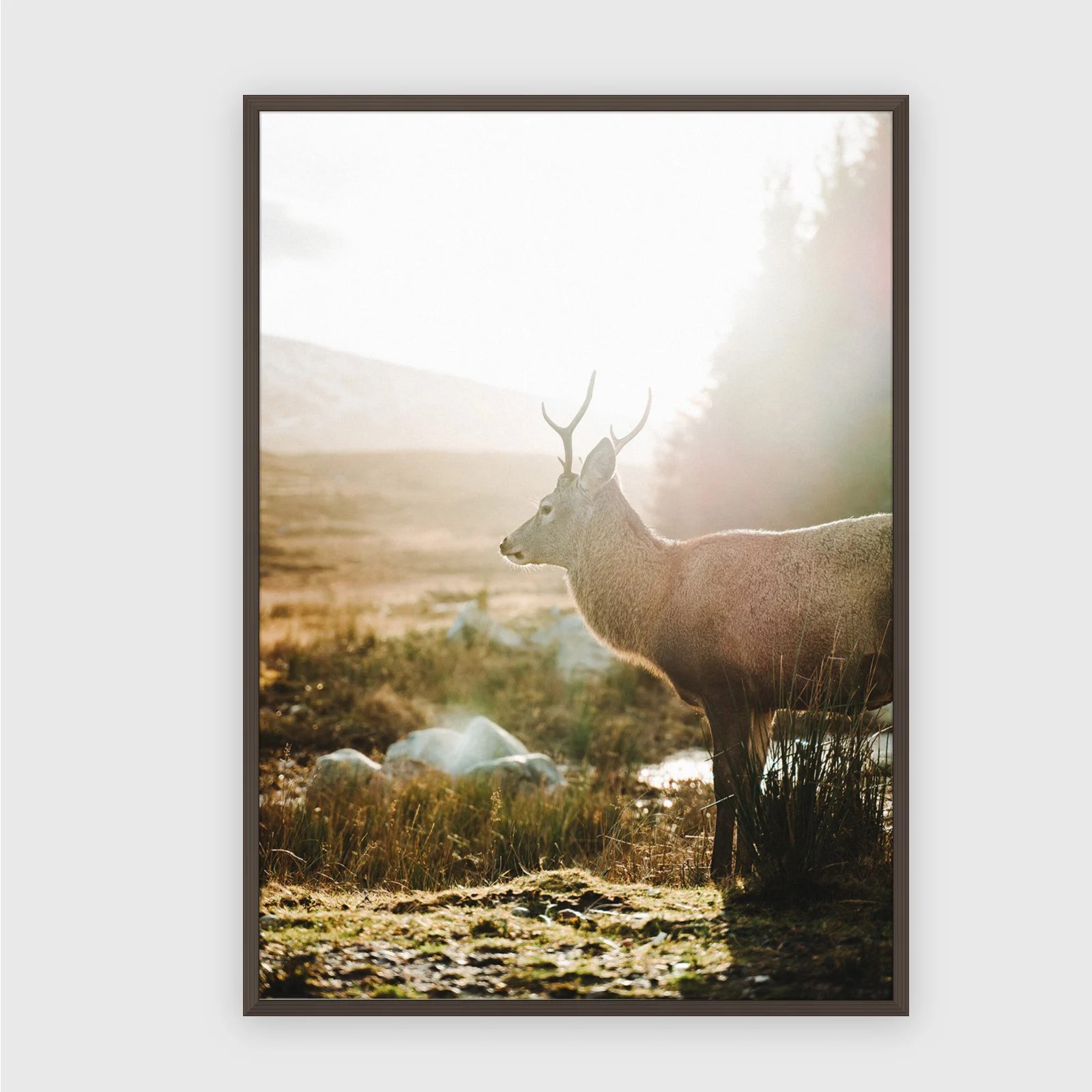 Natur Nr. 74 – Akustikbild mit Druck, 104 × 73 cm, dunkler Holzrahmen