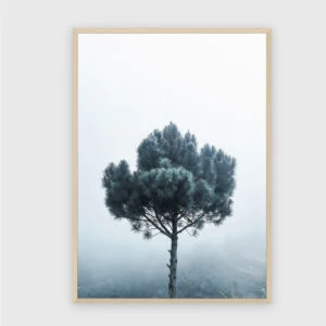 Natur Nr. 182