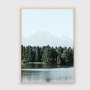 Natur Nr. 140