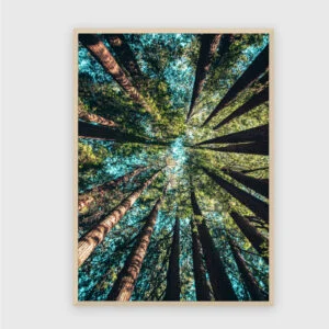 Natur Nr. 91