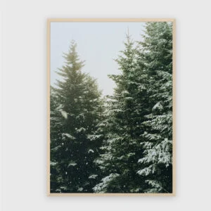 Natur Nr. 23