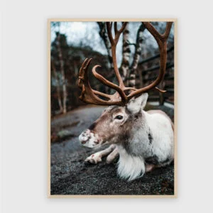 Natur Nr. 102