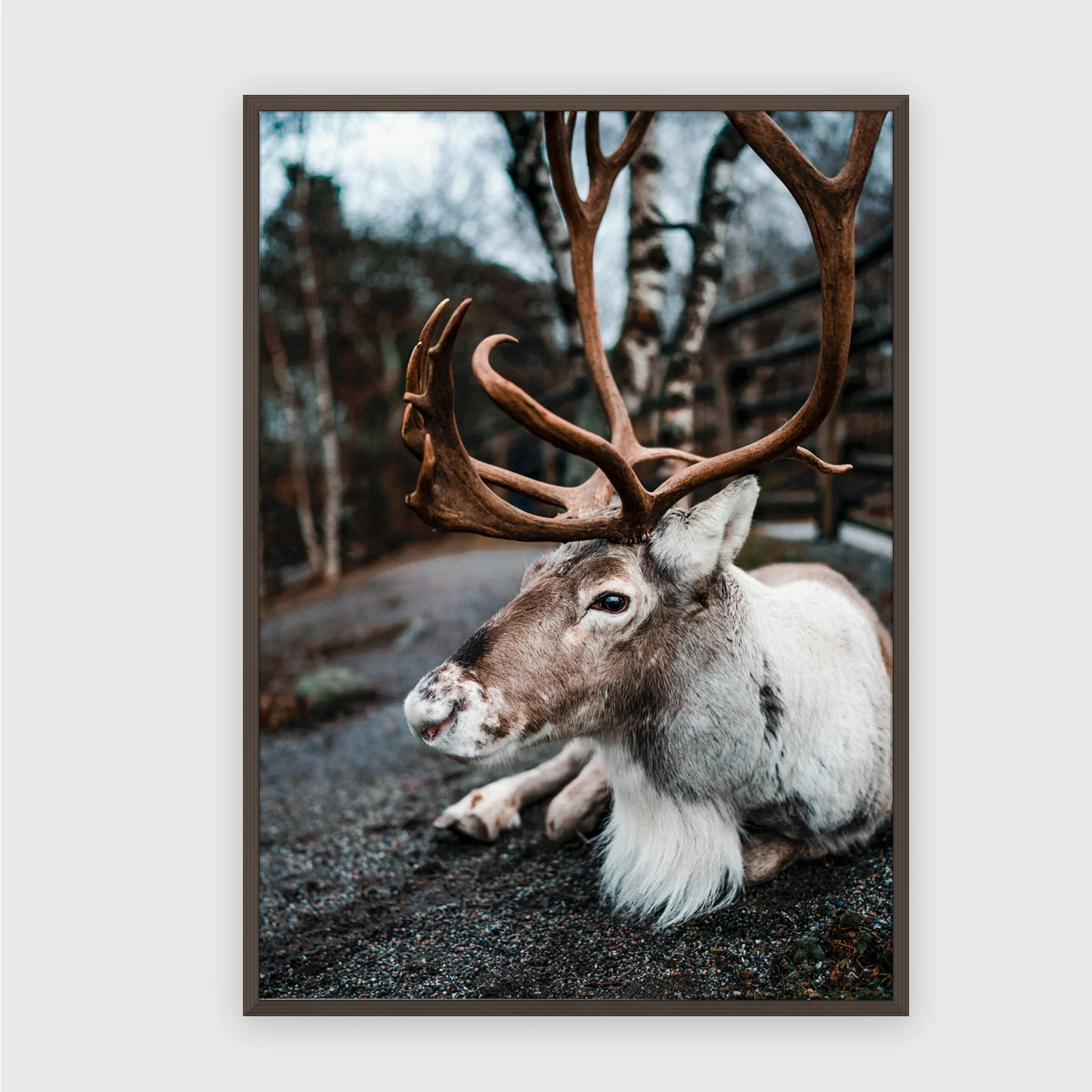 Natur Nr. 102 – Akustikbild mit Druck, 104 × 73 cm, dunkler Holzrahmen