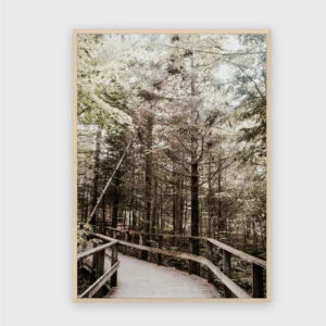 Natur Nr. 146