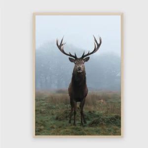 Natur Nr. 7