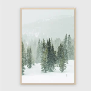 Natur Nr. 77