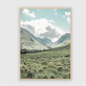 Natur Nr. 162