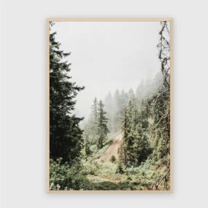 Natur Nr. 122