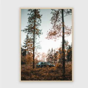 Natur Nr. 108