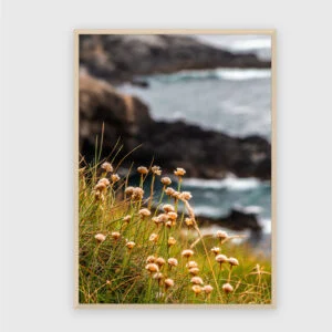 Natur Nr. 84