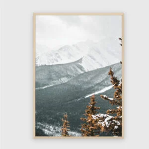 Natur Nr. 144