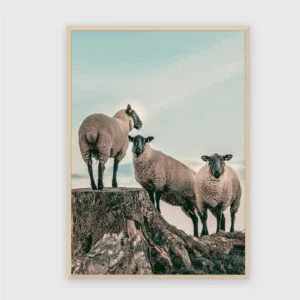 Natur Nr. 71