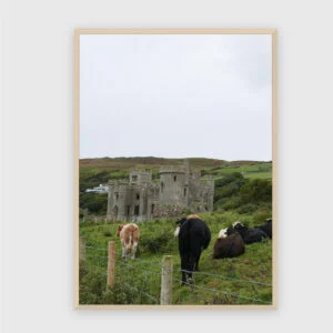 Natur Nr. 85