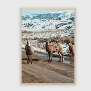 Natur Nr. 147