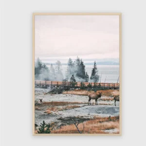 Natur Nr. 187