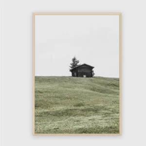 Natur Nr. 47