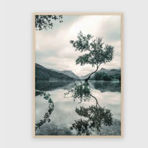 Natur Nr. 184