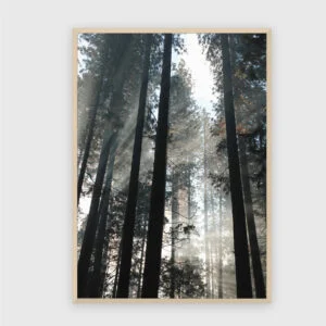 Natur Nr. 153