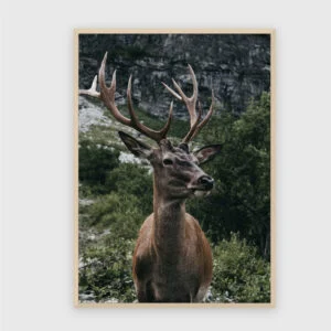 Natur Nr. 18