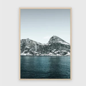 Natur Nr. 132