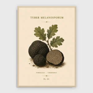 Gastronomie Nr. 42